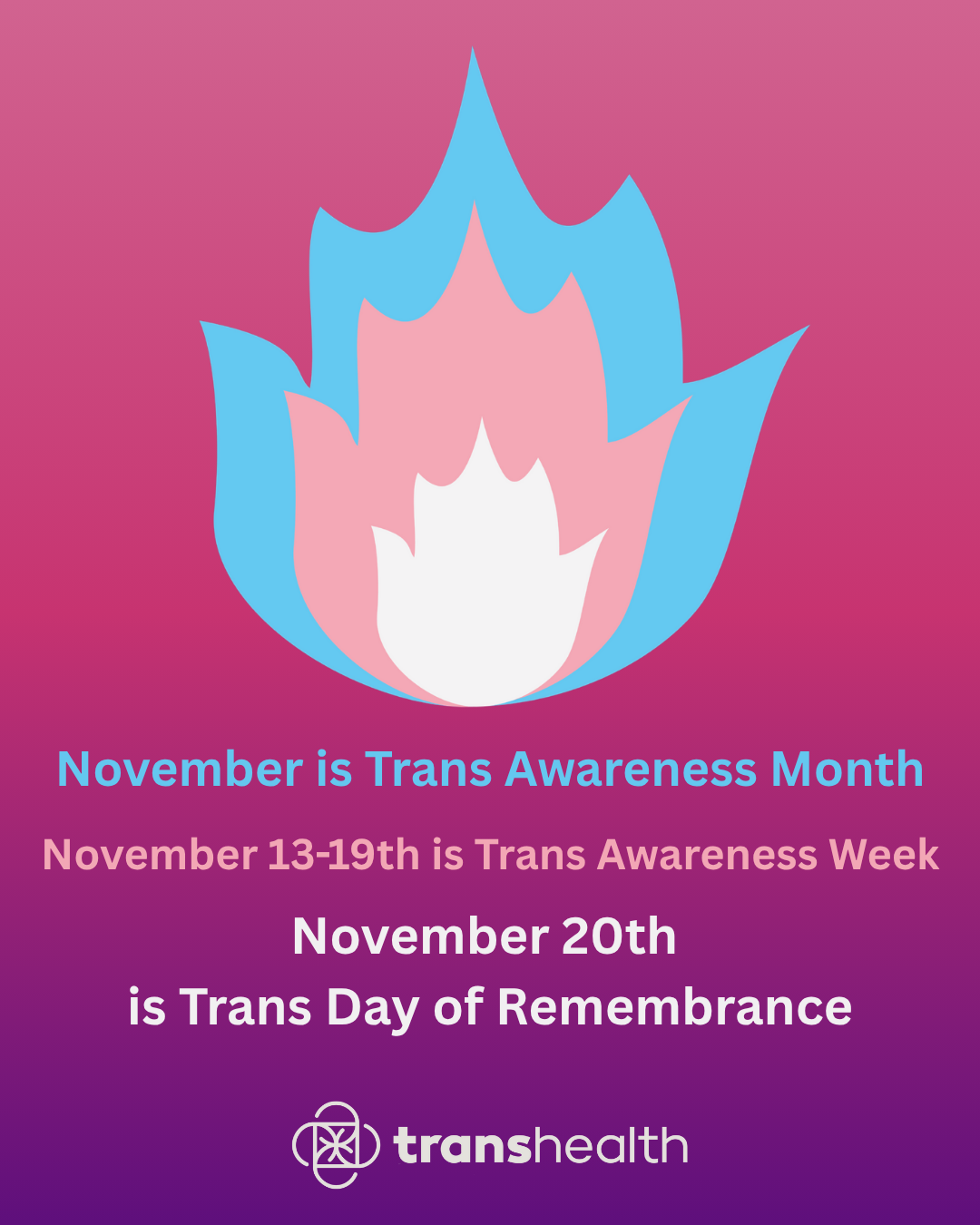 Blue, pink and white flame against a purple backdrop. Transhealth logo.