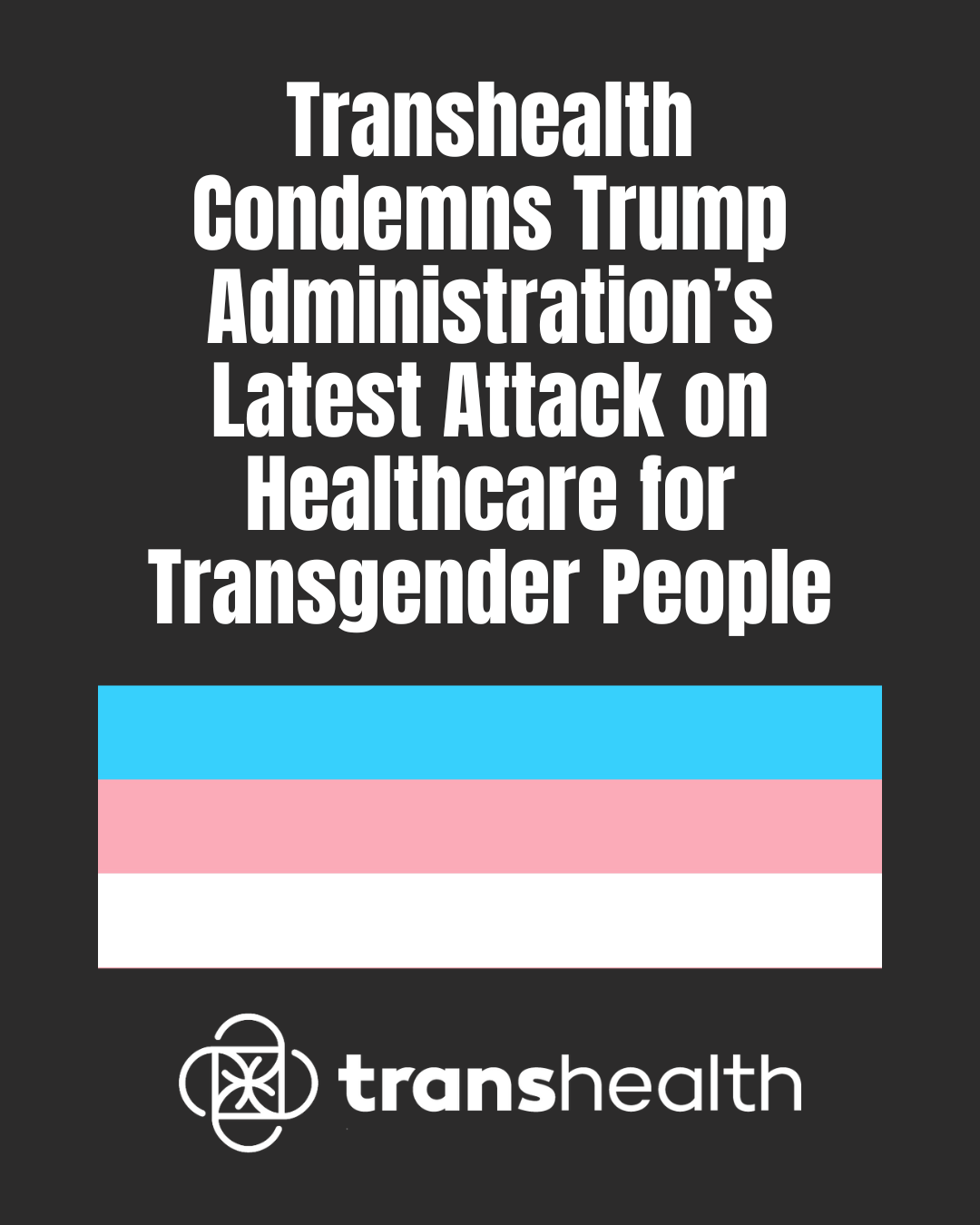 Black background, white letters, Transhealth logo, trans flag